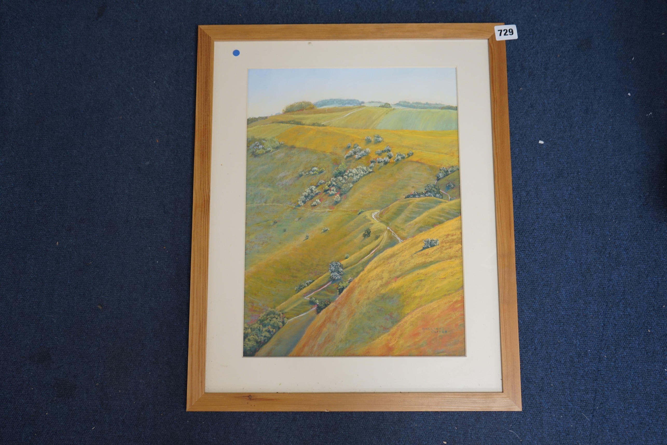 Carlina Oliver, pastel, 'Tracks', signed, 40 x 29cm. Condition - good